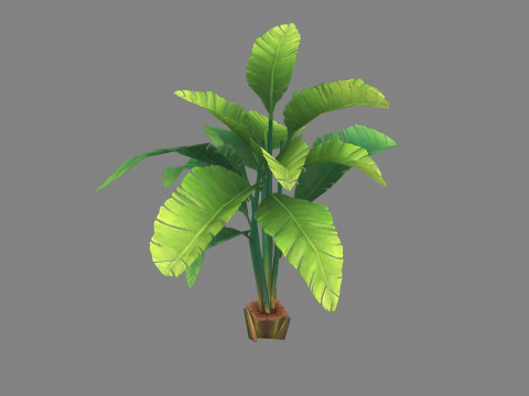 Cartoon palm tree Modèle 3D