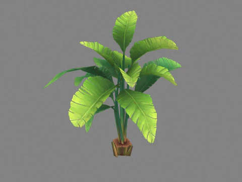 Cartoon palm tree 3D Model