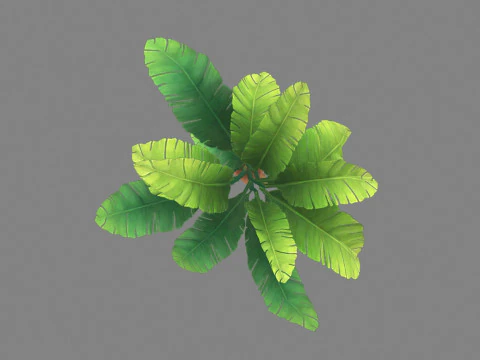 Cartoon palm tree 3D Model