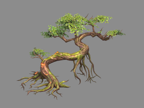 Curved vines - Swamp trees - jungle roots 3Dモデル
