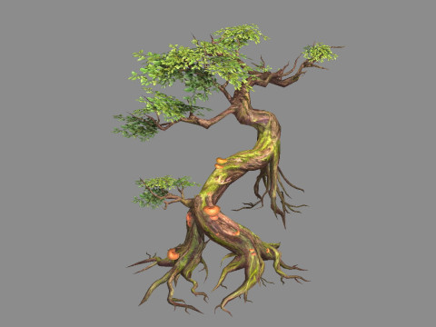Curved vines - Swamp trees - jungle roots 3D Model