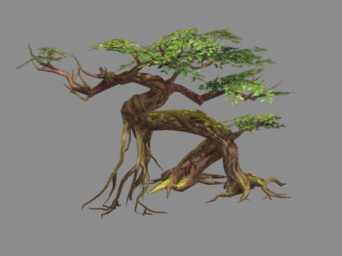 Curved vines - Swamp trees - jungle roots 3D Model