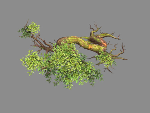 Curved vines - Swamp trees - jungle roots 3D Model