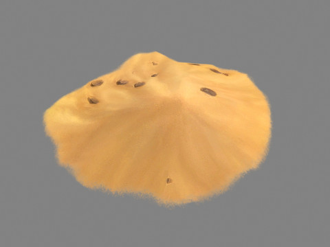Sand dune 3D Model