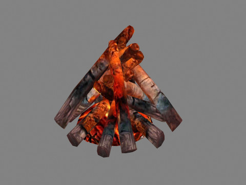 Campfires - Burning wood - A 3D Model