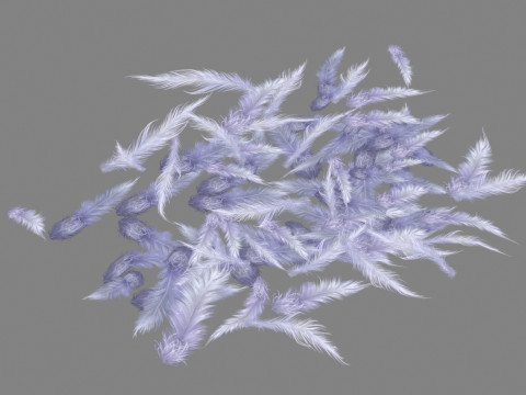 Cartoon bird feathers 3Dモデル