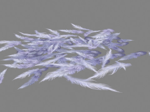 Cartoon bird feathers 3Dモデル