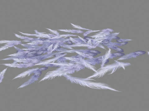Cartoon bird feathers 3D Model
