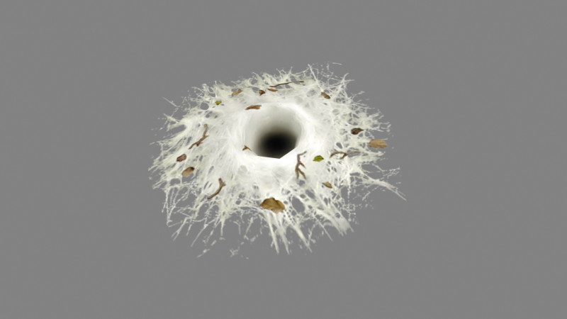 Wormhole - spider cave - lair 3D Модель .c4d .max .obj .3ds .fbx .stl .blend 