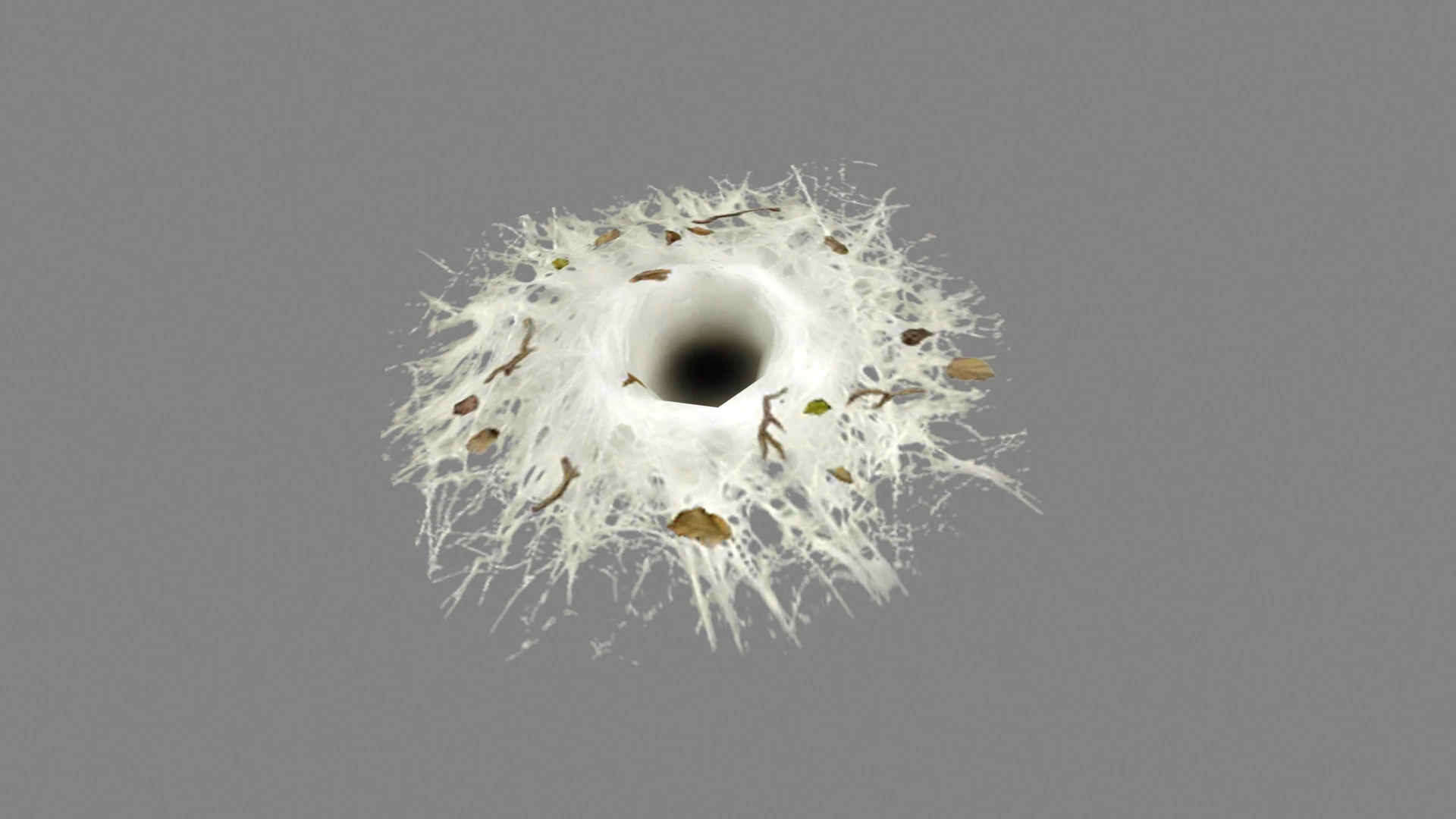Wormhole - spider cave - lair 3D Model .c4d .max .obj .3ds .fbx .stl .blend 