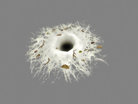 Wormhole - spider cave - lair Modelo 3D