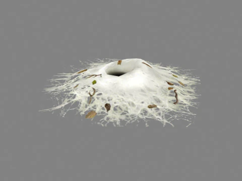 Wormhole - spider cave - lair 3D Model