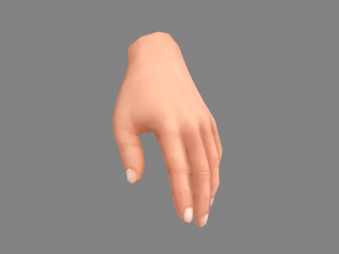 The left hand 3D मॉडल