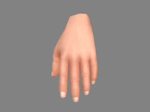 The left hand 3D मॉडल