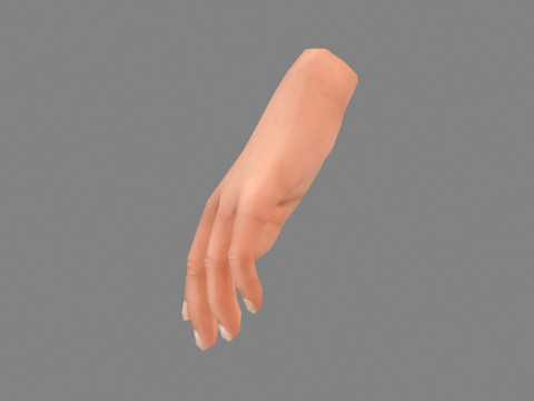The left hand 3D मॉडल