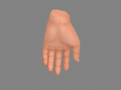 The left hand 3D मॉडल