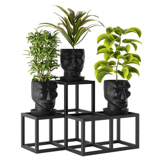 pot adan 3D Model .c4d .max .obj .3ds .fbx .stl .blend