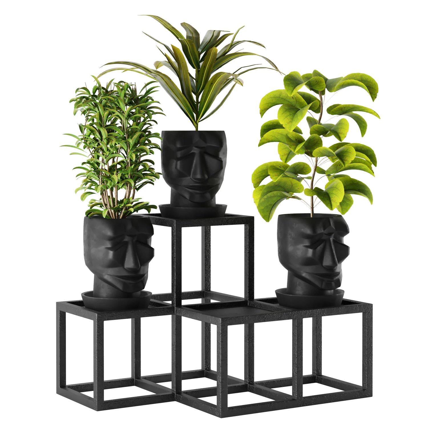 pot adan 3D Model .c4d .max .obj .3ds .fbx .stl .blend 