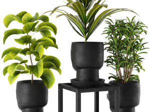 pot adan 3D Model