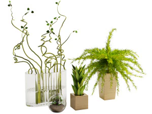 conjunto decorativo 05 Modelo 3D