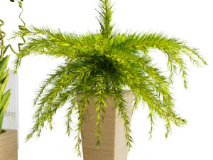 conjunto decorativo 05 Modelo 3D