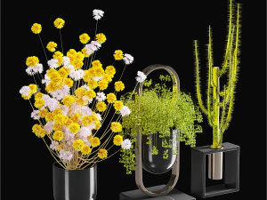 juego de macetas decorativas 06 Modelo 3D