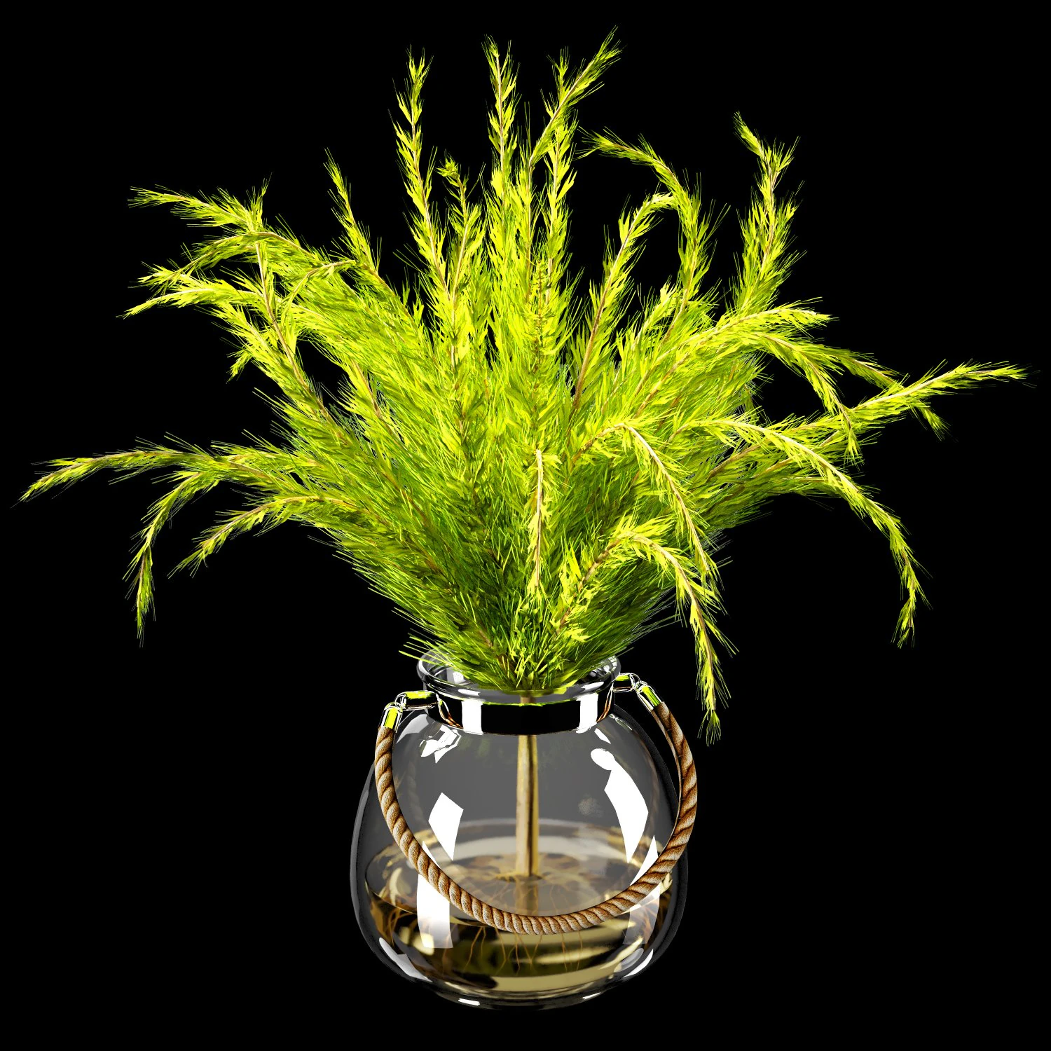 plant indoor 03 3D Model .c4d .max .obj .3ds .fbx .stl .blend 