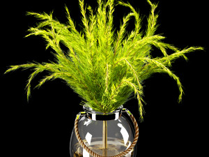 plant indoor 03 3D Model