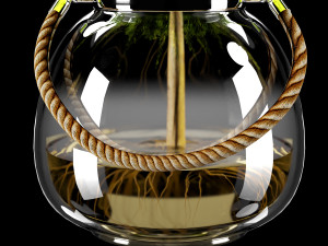 plant indoor 03 3D Model