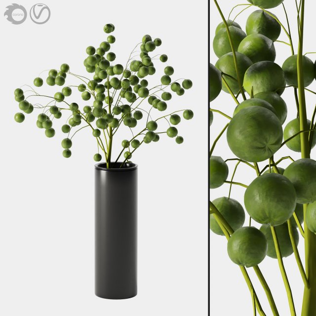 plant indoor 05 3D Model .c4d .max .obj .3ds .fbx .stl .blend 