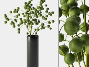 plant indoor 05 3D-Modell