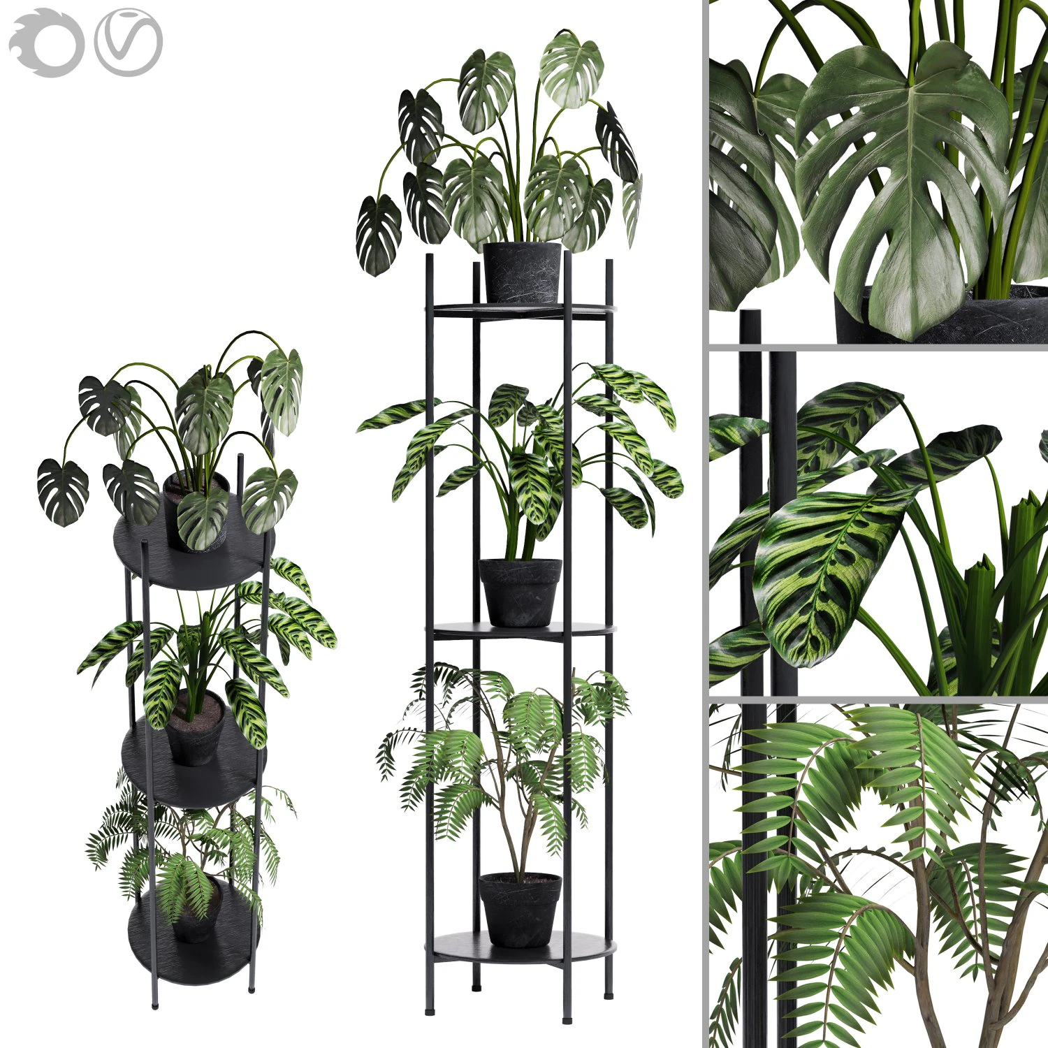 Plant Collection 02 3D Model .c4d .max .obj .3ds .fbx .stl .blend 