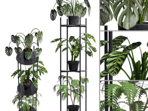 Koleksi Tanaman 02 Model 3D