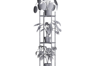 Plant Collection 02 3D Model