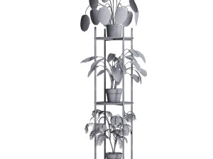 Plant Collection 02 3D Model