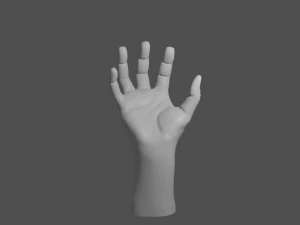 basic hand 3D Model