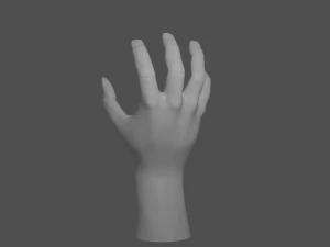 basic hand 3D Model