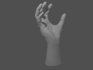 basic hand 3Dモデル