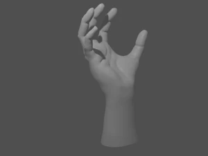 basic hand 3D Model