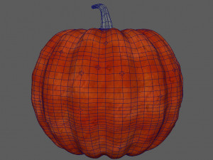 pumpkin Model 3D