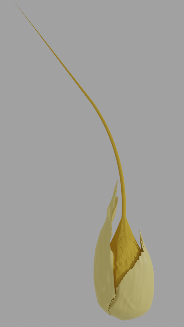 wheat 3D 모델 .c4d .max .obj .3ds .fbx .stl .blend