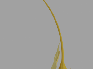 wheat Modèle 3D