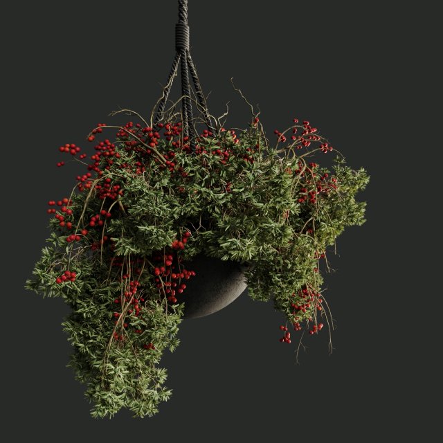Hanging Pot Plant Modelo 3D .c4d .max .obj .3ds .fbx .stl .blend 