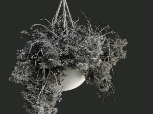 Hanging Pot Plant Modelo 3D