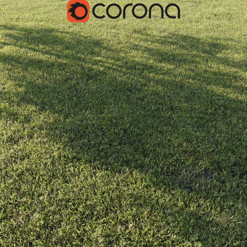 Outdoor Grass 001 3D Модель .c4d .max .obj .3ds .fbx .stl .blend 