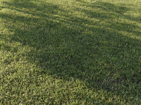 Outdoor Grass 001 3D 모델