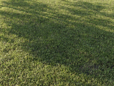 Rumput Luar Ruangan 001 Model 3D