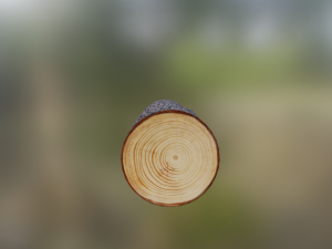 log 3D-Modell