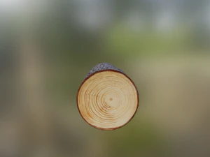 log 3D Model