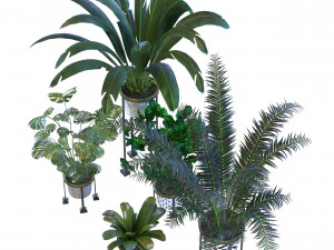 plants vol 01 3D Model